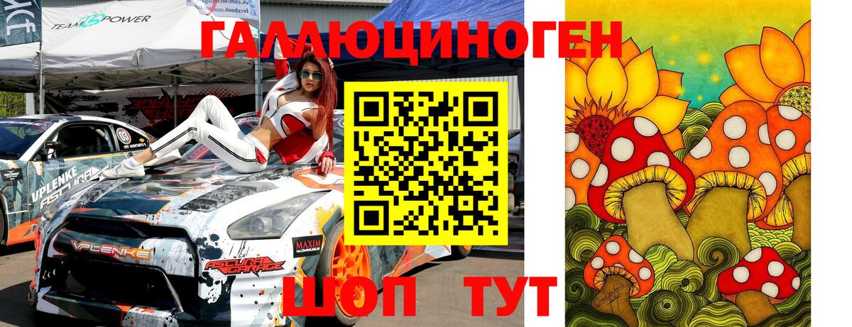 Галлюциногенные грибы Psilocybe Новодвинск