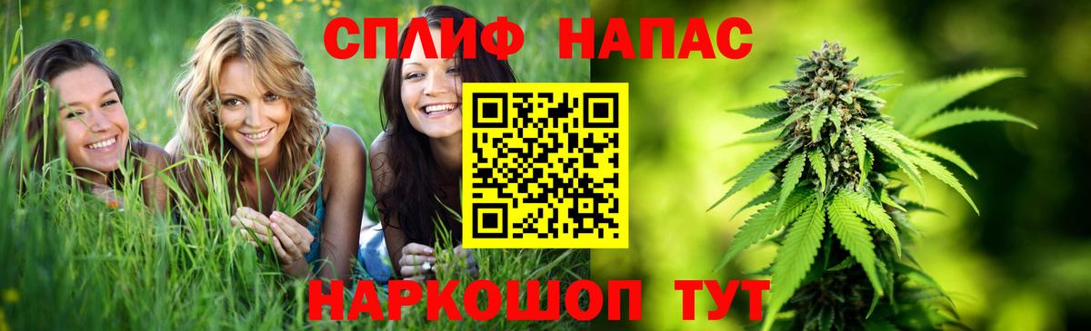 Бошки Шишки марихуана  Вход с VPN  Новодвинск  Канабис тримм 